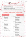 Resumen Anatoma con Orientacin Clnica/ Anatomía con Orientación Clínica, ISBN: 9788417033637 Anatomía Humana I