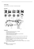 Samenvatting embryologie orgaansystemen