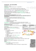 Scheikunde – Chemie – 6 VWO – H12 Kunststoffen