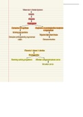 Schema hormonen baring