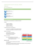 samenvatting onderzoek in sociaal werk