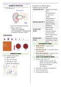 Veterinary medicine - disorders of erythrocytes