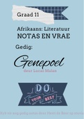 Afrikaans: Genepoel NOTAS EN VRAE