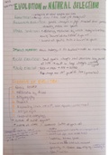 Class notes on Human Evolution Life Sciences (Biology) 