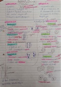 Class notes on Meiosis, Mitosis and Cell Division, Life Sciences