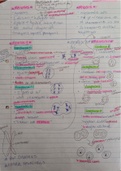 Class notes on Mitosis and Meiosis, Life Sciences