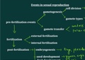 reproduction in organisms part 3