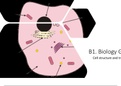 AQA GCSE Biology Triple: Cell structure and transport