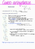 Kennisclips Biochemie I