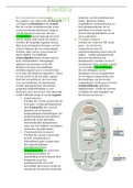 taak 7 -eiwittransport bgz2022 + extra aantekenigen owg
