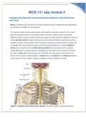 BIOD 151 a&p module 5 Anatomy of the Muscular System: Introduction & Muscles of the Head, Neck, and Trunk