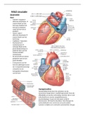 Samenvatting  Circulatie