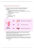 Explicación de las etapas de Embarazo,Partos; Cesárea.