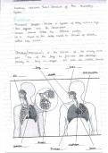 Lecture notes Unit 4 - Anatomy and physiology for health and social care 