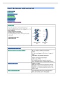 Summary  Genetics, DNA and RNA (Biology)