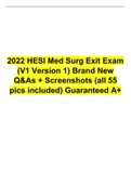 2022 HESI Med Surg Exit Exam (V1 Version 1) 