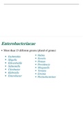Enterobacteriacae