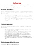 Nursing assignment -Influenza.