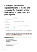 Construct_appropriate_representations_to_model_and_compare_the_forms_in_which_DNA_exists_in_eukaryotes and prokaryotes