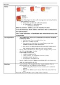 Peripheral artery Patho map