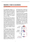 Samenvatting  Anatomie 3: hart en bloedvaten (1213GENRVK)