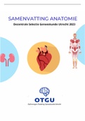 Decentrale Selectie Geneeskunde Utrecht 2023: Volledige samenvatting Anatomie 