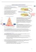 Samenvatting statistiek 3