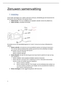 Volledige samenvatting zenuwen ABSII! 