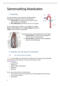 Volledige samenvatting bloedvaten ABSII! 