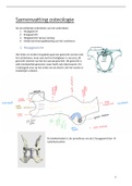 Volledige samenvatting osteologie ABSII! 