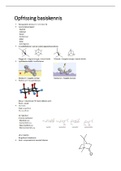 volledige samenvatting biomoleculen 