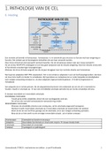 samenvatting lessen prof Ferdinande