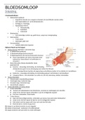 VOLLEDIGE samenvatting van Orgaan anatomie gegeven in 2BACH 1SEM KINE,  20/20 1e zit