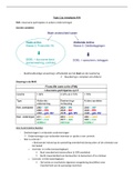 Samenvatting Topic 11 a,b,c: FVA (Semester 1: 22/23)