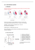 Samenvatting cardiochirurgie Master 1 Geneeskunde