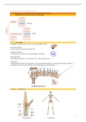 anatomie 1a