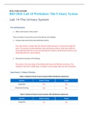 BIO 202L Lab 14 Worksheet- The Urinary System