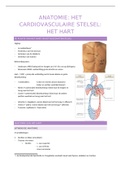 samenvatting het hart