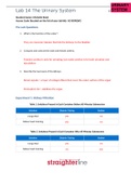 BIO 202L Lab 14 Worksheet- The Urinary System Course BIO 202L Institution Straighterline BIO 202L Lab 14 Worksheet- The Urinary System/BIO 202L Lab 14 Worksheet- The Urinary System