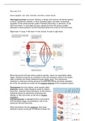 comprehensive Summary chapter 15 silverthorn human physiology