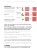 uitgebreide Samenvatting hoofdstuk 12  silverthorn human physiology