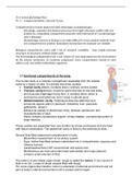 uitgebreide samenvatting hd 3 human physiology silver thorn