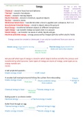 Edexcel GCSE Physics Topic 3 + 8 - Conservation of Energy + Forces doing Work