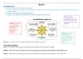 Edexcel GCSE Religion Studies  - Buddhist Beliefs