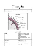 Meningitis