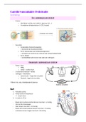 Cardiovasculaire fysiologie - prof. Haemers (E02Y9A)