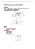 Human Structure and Physical Performance Exam 3 Notes