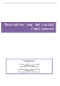 afstudeeropdracht Social Work praktijkdossier beoordeeld met een 9!