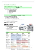 Celbiologie 2, samenvatting (Prof. Voets & Prof. Eggermont) (E03Y4A)