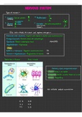 A unique study guide to the Nervous System